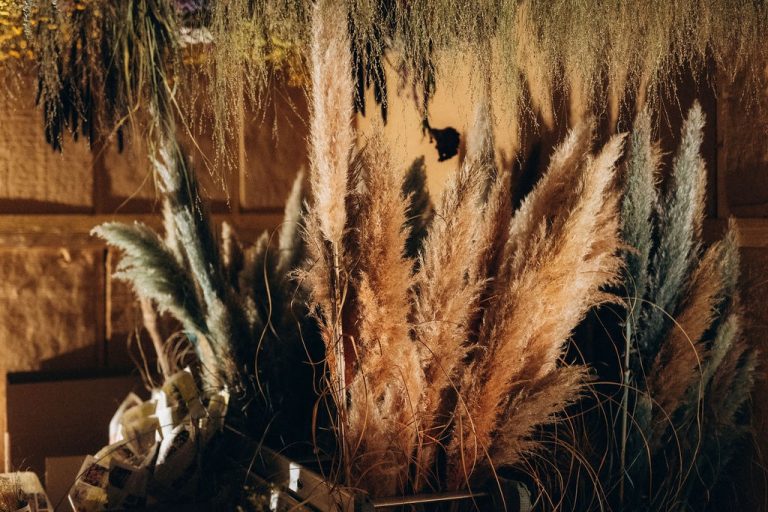 Pourquoi nos fleurs colorées ne peuvent pas être certifiées bio ?