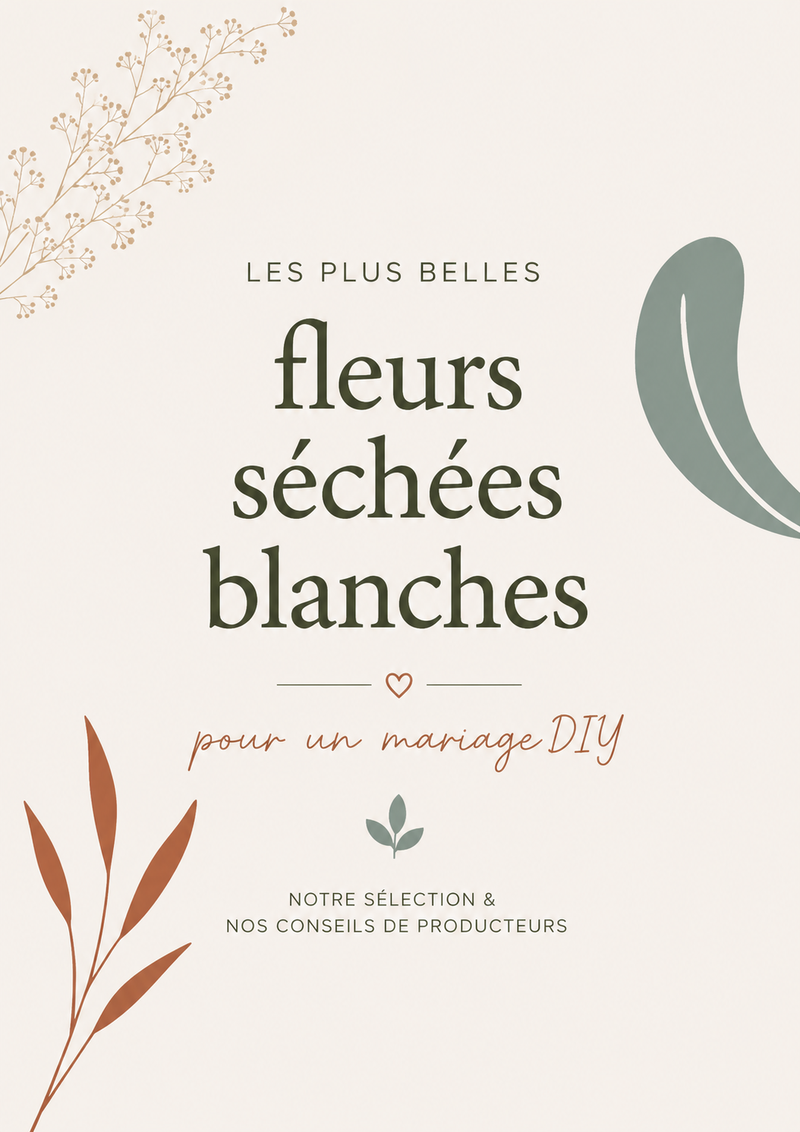 Affiche illustrée présentant les plus belles fleurs séchées blanches pour un mariage DIY, avec des conseils de producteurs pour réaliser une décoration florale naturelle.