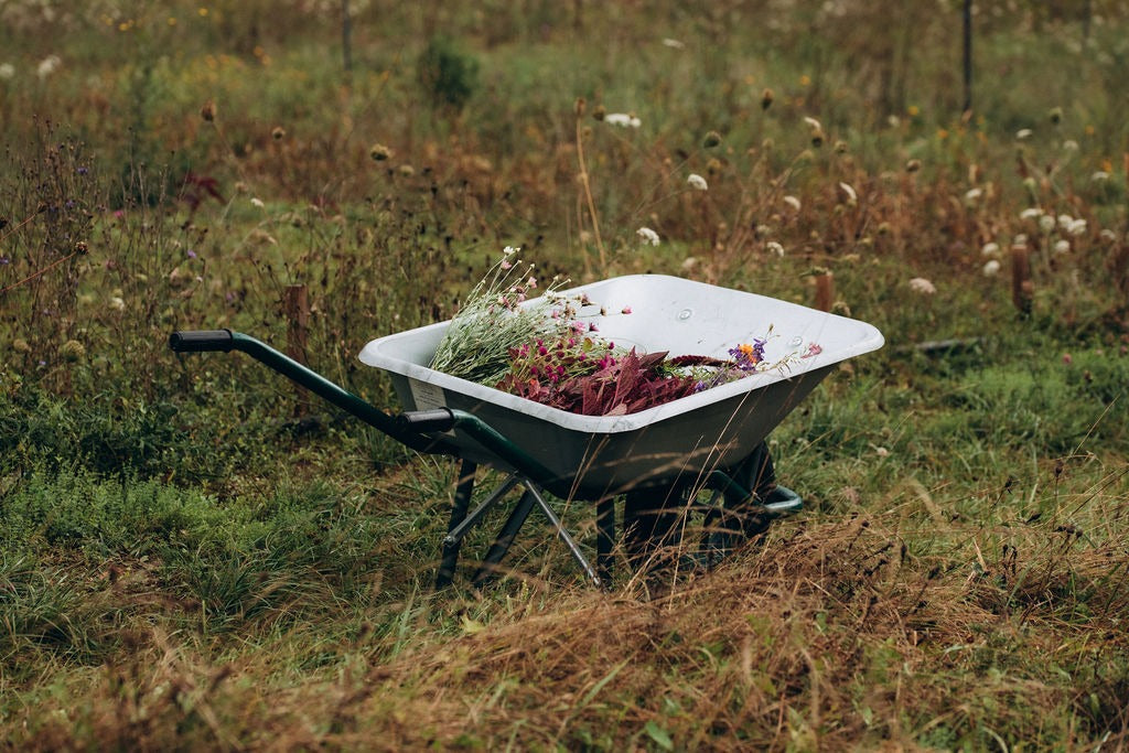 Grossiste fleurs séchées ou producteur ? Pourquoi faire le choix d'un fournisseur local et engagé