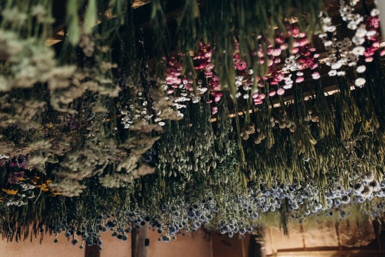 Séchage à l'air libre : nos conseils testés… et approuvés au champ