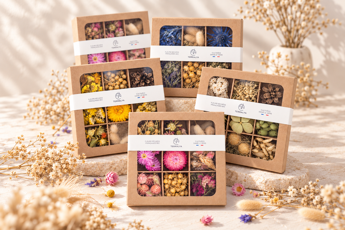 Cinq coffrets Terralya de têtes de fleurs séchées françaises bio, présentés dans leurs boîtes à compartiments, dans des tons roses, jaunes, bleus et naturels.