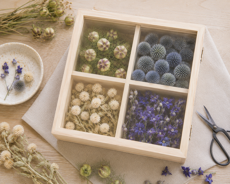 Création d'un cadre en double verre avec quatre compartiments garnis de têtes de fleurs séchées, accompagné des fleurs utilisées et du matériel de loisirs créatifs.