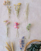 Sélection de fleurs séchées bio du kit Signature Les Pensées de Lily comprenant gomphrena rose, matricaire, immortelle Lumina, echinops et delphinium.