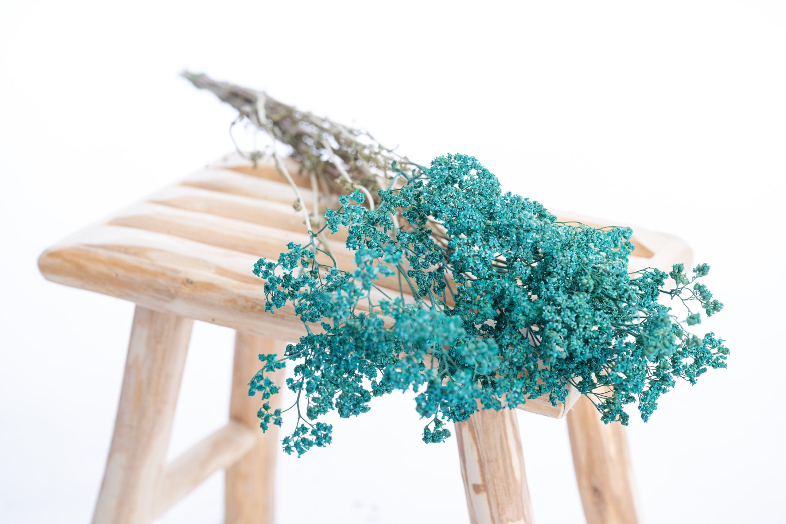 Fleurs séchées d’achillée bleu canard, teintes de manière artisanale