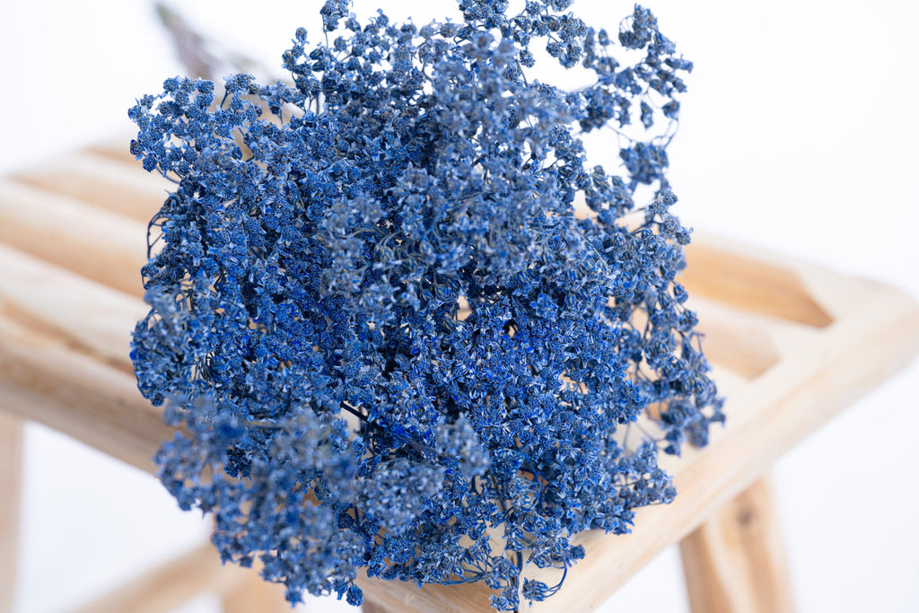 Achillée millefeuille bleu outremer séchée