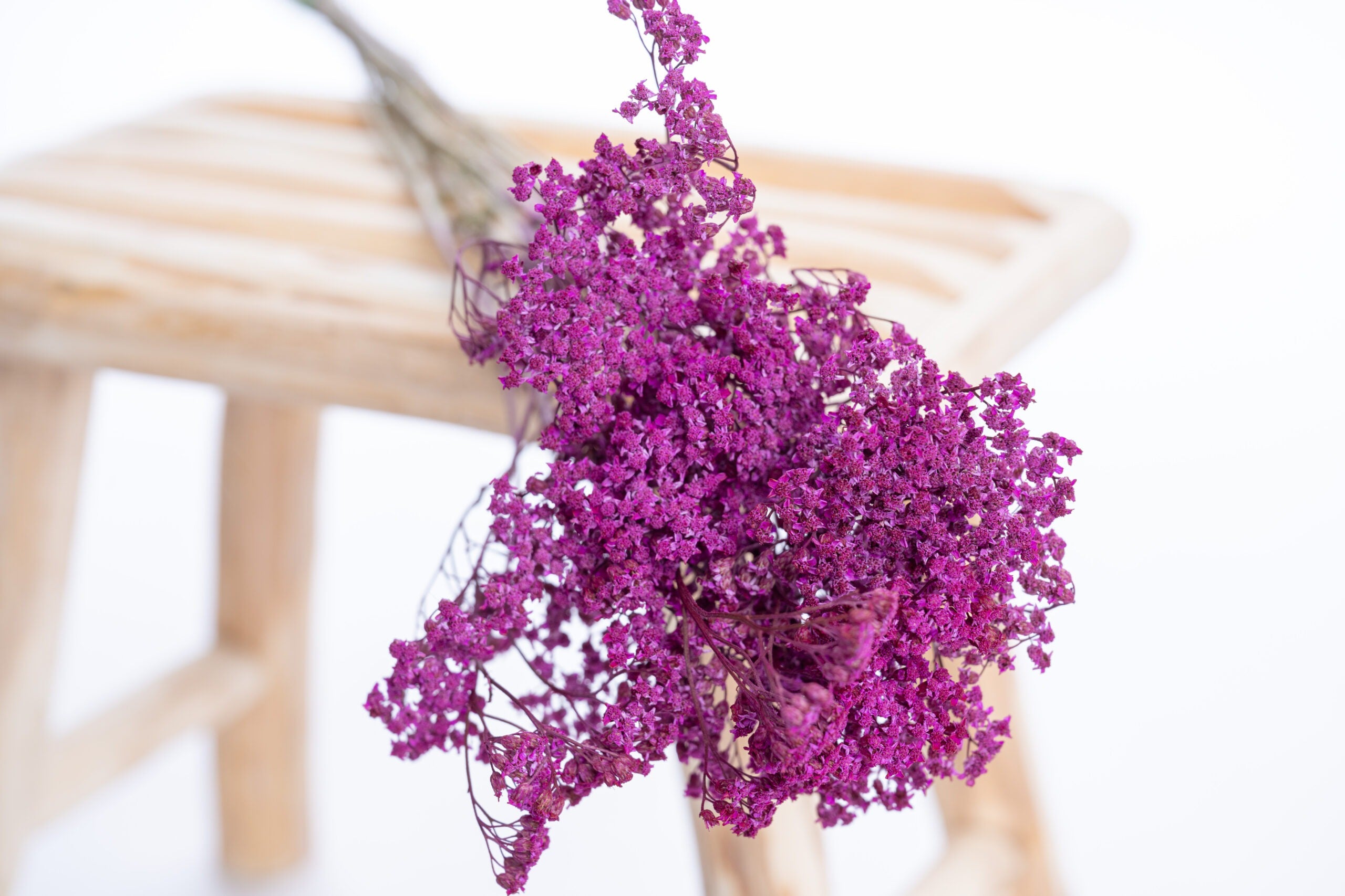 Achillée cyclamen séchée artisanalement dans le Gers