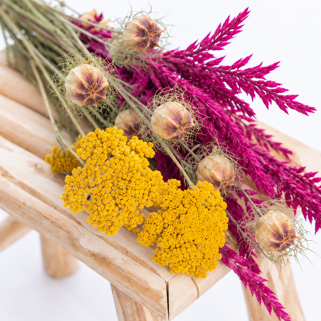 Gros plan sur les textures de l’achillée jaune, des capsules de nigelle et de la fleur de pays cyclamen séchées