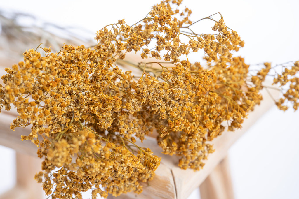 Fleur séchée d’achillée bio couleur kamala