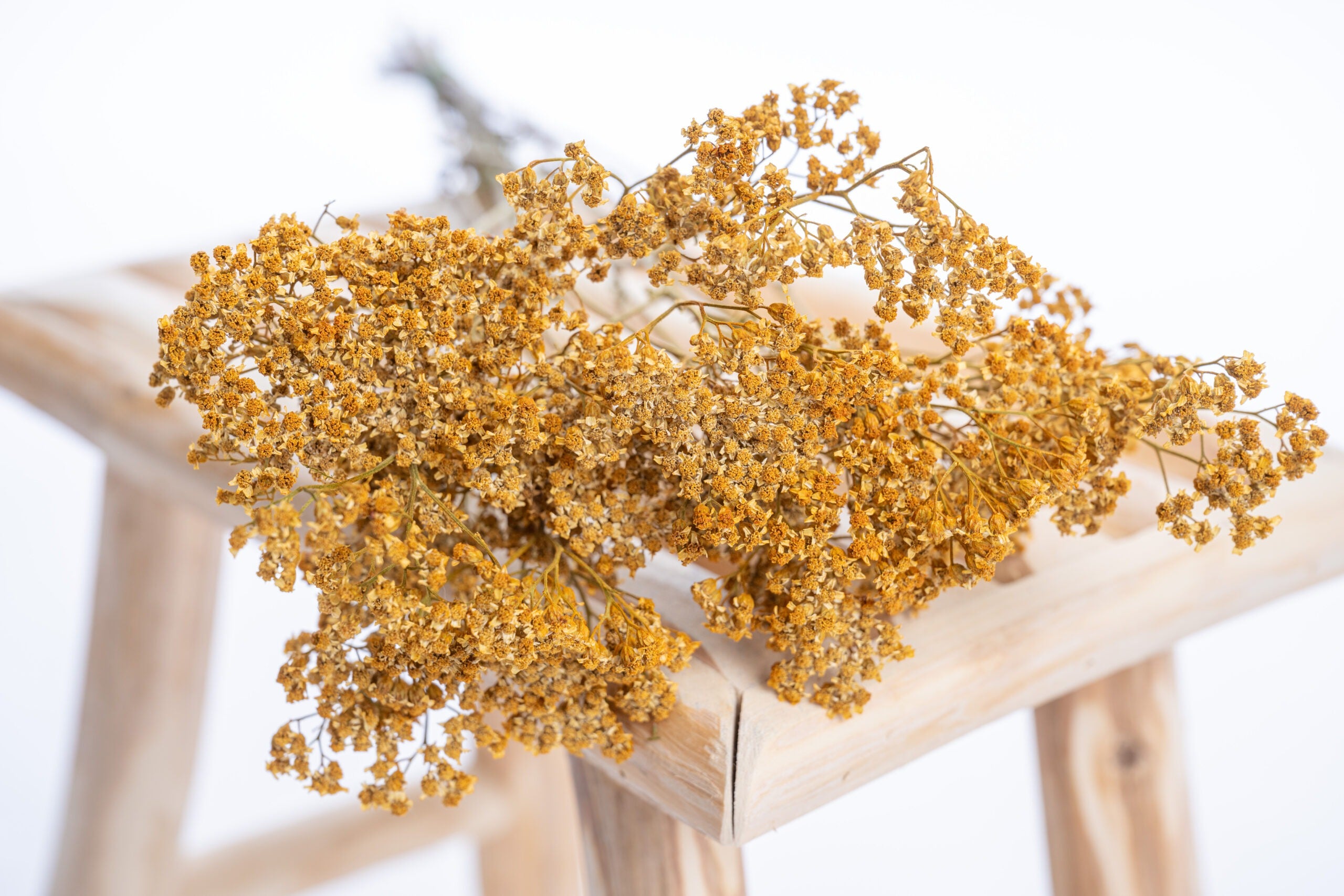 Achillée millefeuille séchée en teinte jaune ocre naturelle