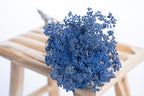 Achillée bleu profond pour créations florales