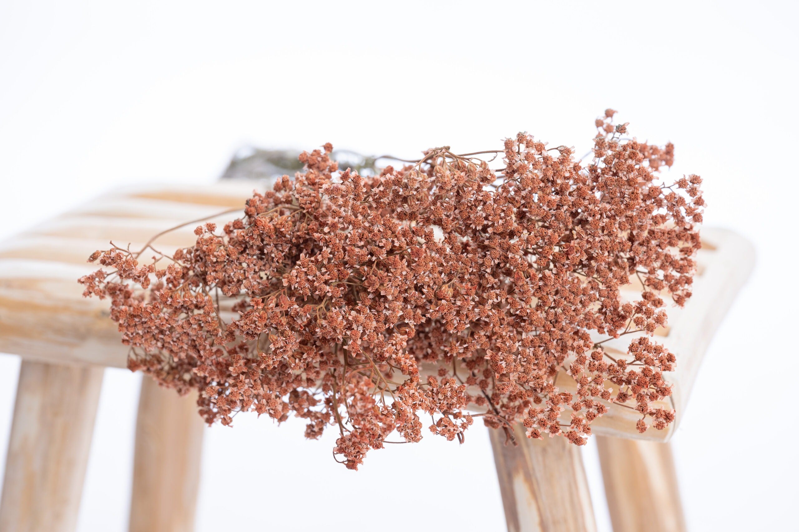 Achillée millefeuille terracotta séchée, culture bio et coloration artisanale