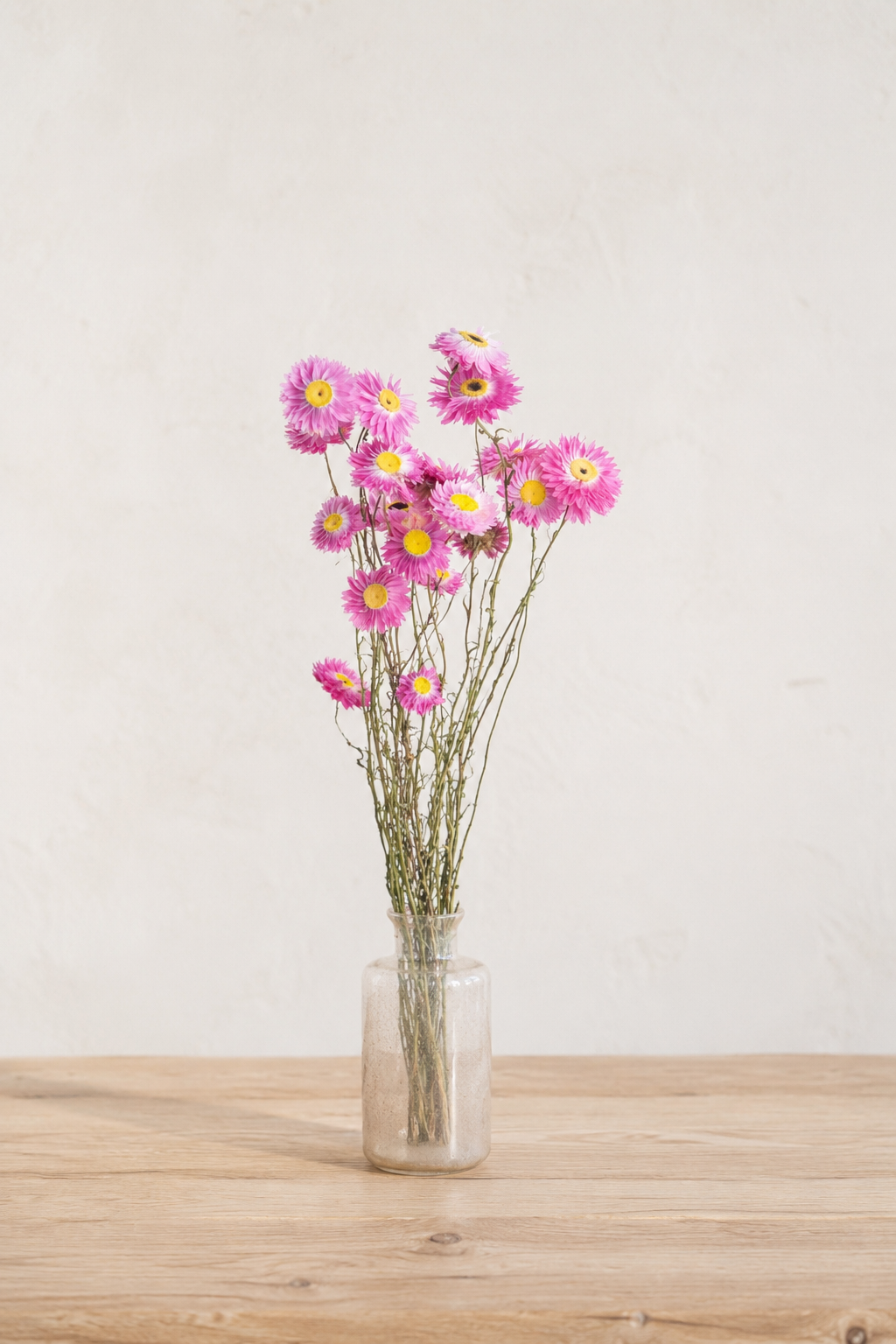 Botte d'acroclinium rose séchée dans un vase en verre sur une table en bois clair, cultivée en France par Terralya.