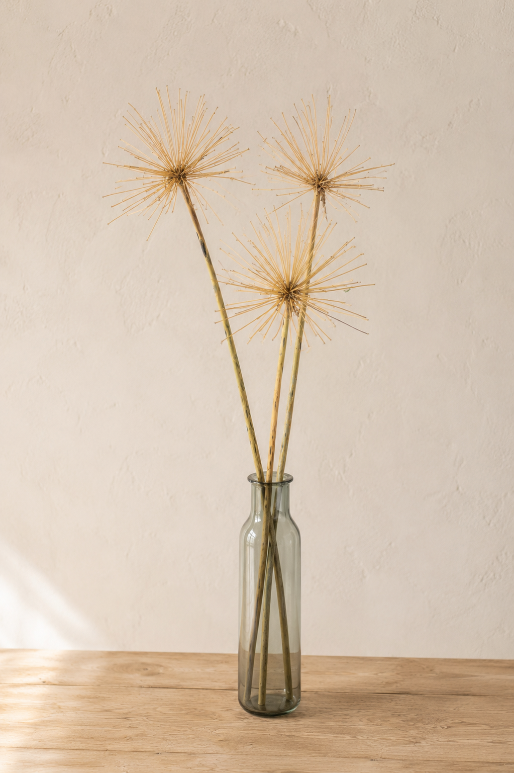 Agapanthe séchée présentée dans un soliflore en verre sur une table en bois clair, fleur séchée bio cultivée en France par Terralya.