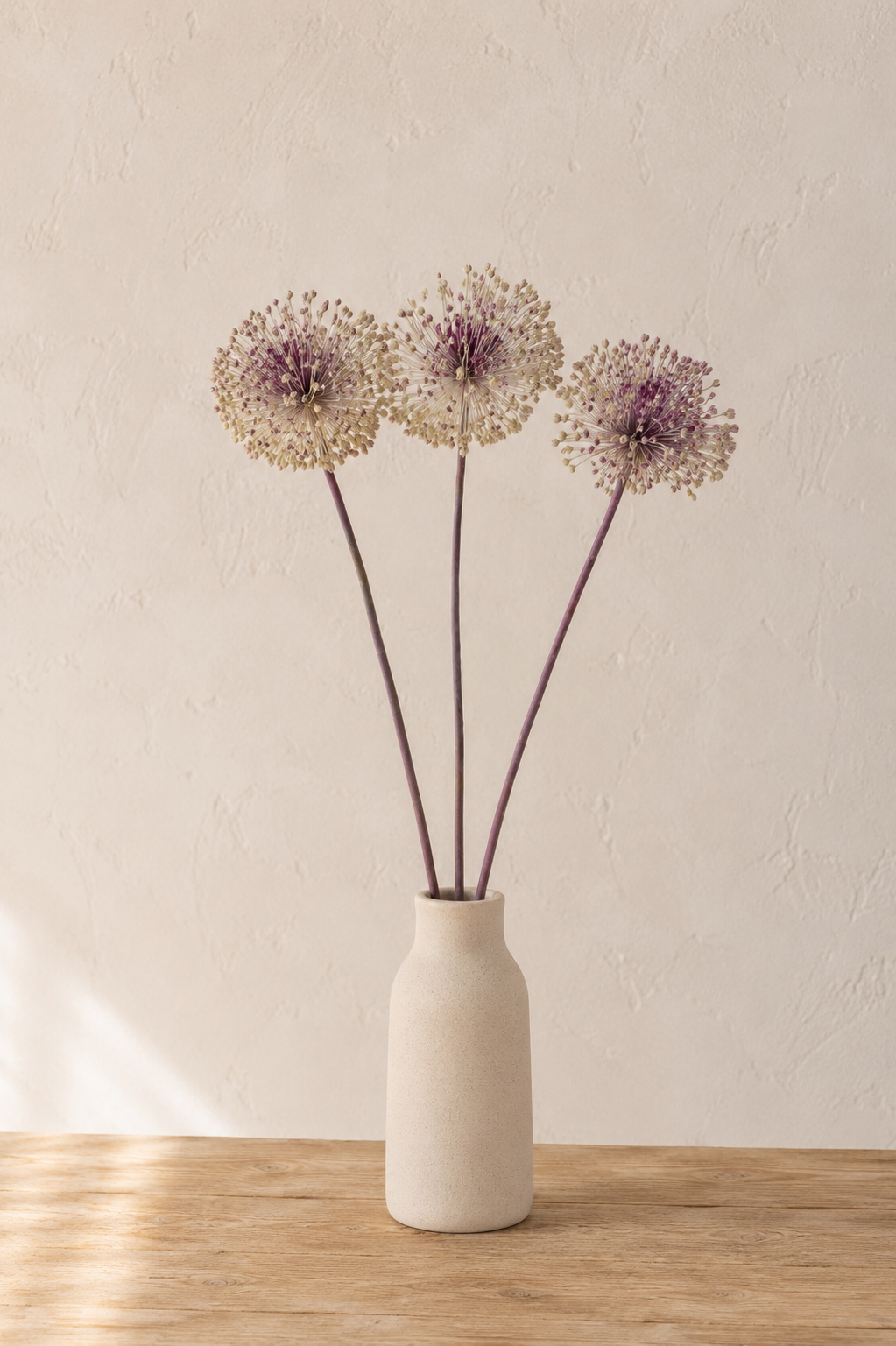 Allium séché présenté dans un vase en grès sur une table en bois clair, fleur séchée bio cultivée en France par Terralya.