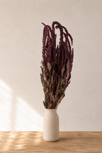 Amarante pourpre séchée bio présentée seule dans un soliflore en grès, cultivée dans le Gers par Terralya.