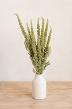 Botte d'amarante verte séchée naturelle cultivée en France par Terralya, présentée dans un soliflore en céramique sur une table en bois.