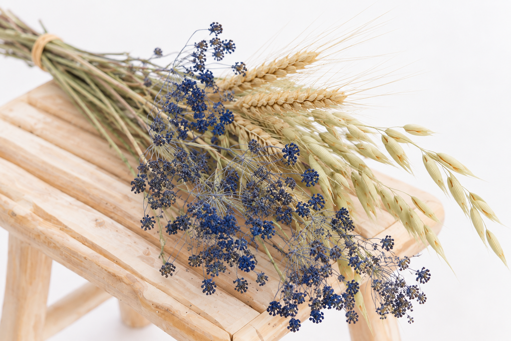 Détail des textures de l’ammi bleu, du blé et de l’avoine séchés cultivés en France