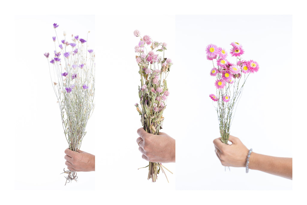 Assemblage de fleurs séchées roses avec acroclinium, gomphrena et lumina – Terralya