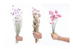 Assemblage de fleurs séchées roses avec acroclinium, gomphrena et lumina – Terralya