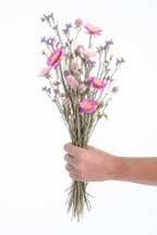 Assemblage de fleurs séchées bio françaises aux tons rose, violet et blanc, cultivées par Terralya