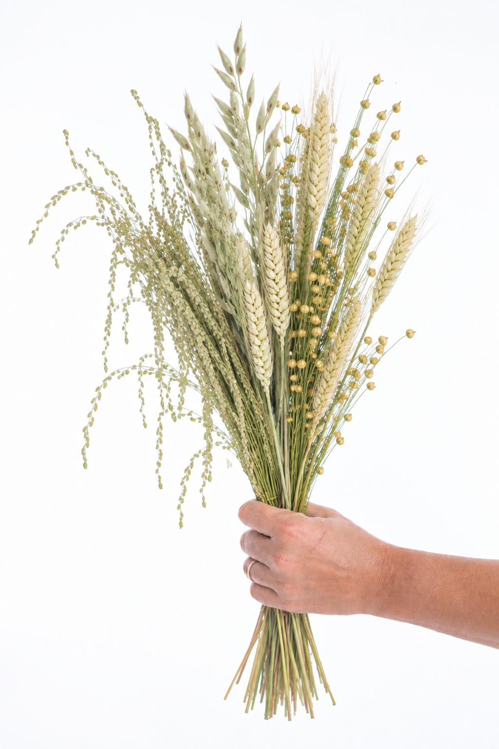 Assemblage de graminées et fleurs séchées bio avec lin, blé, avoine et cresson, tenu à la main