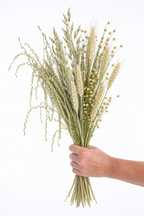 Assemblage de graminées et fleurs séchées bio avec lin, blé, avoine et cresson, tenu à la main