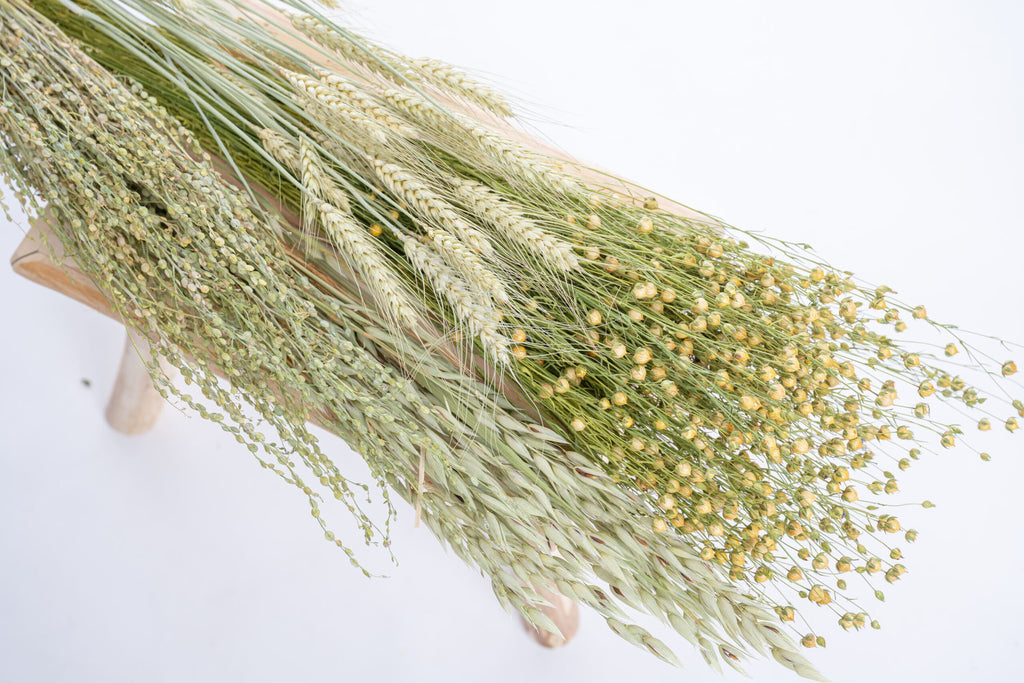 Assemblage de graminées séchées : lin, cresson, avoine et blé