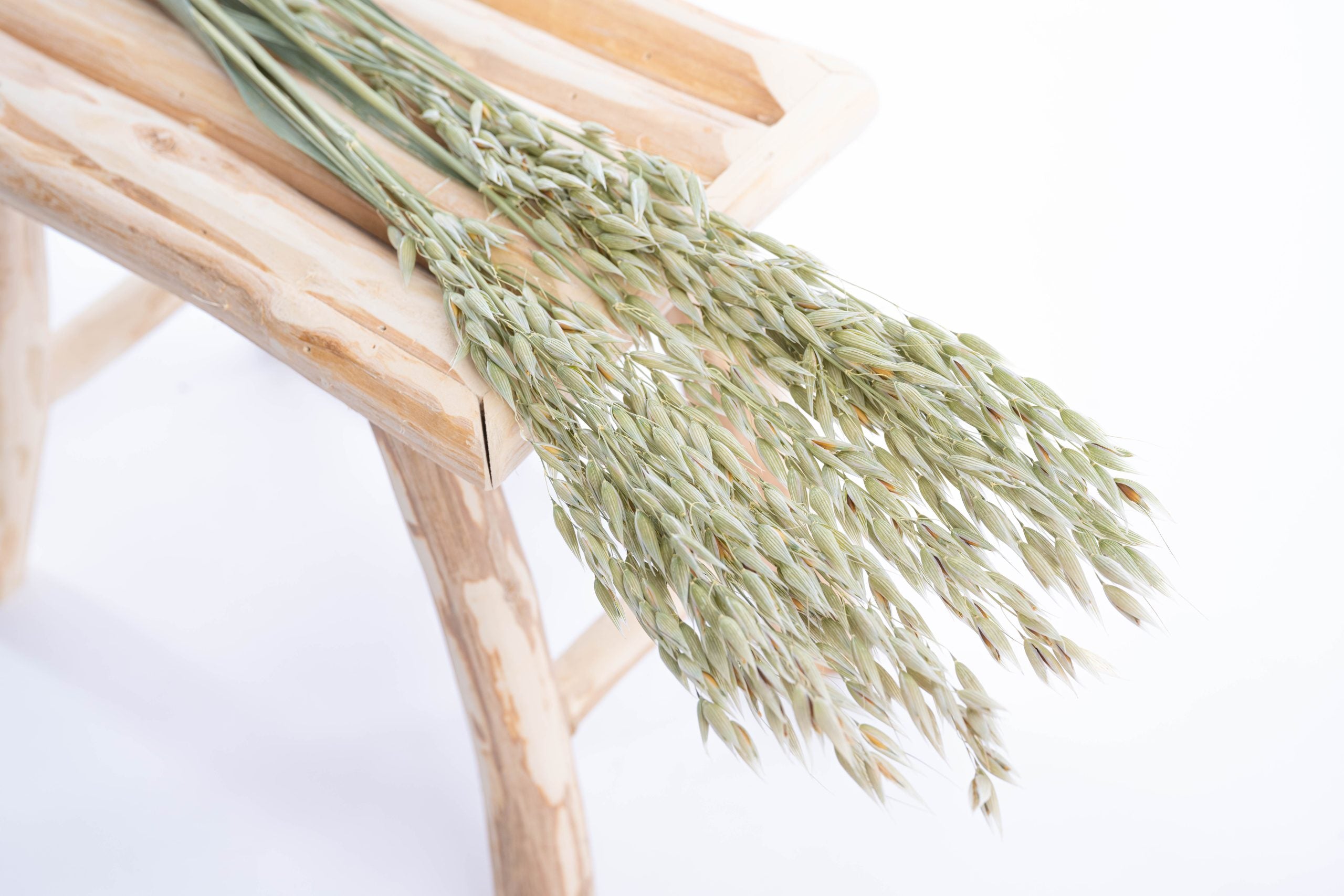 Botte d’avoine séchée bio cultivée en France