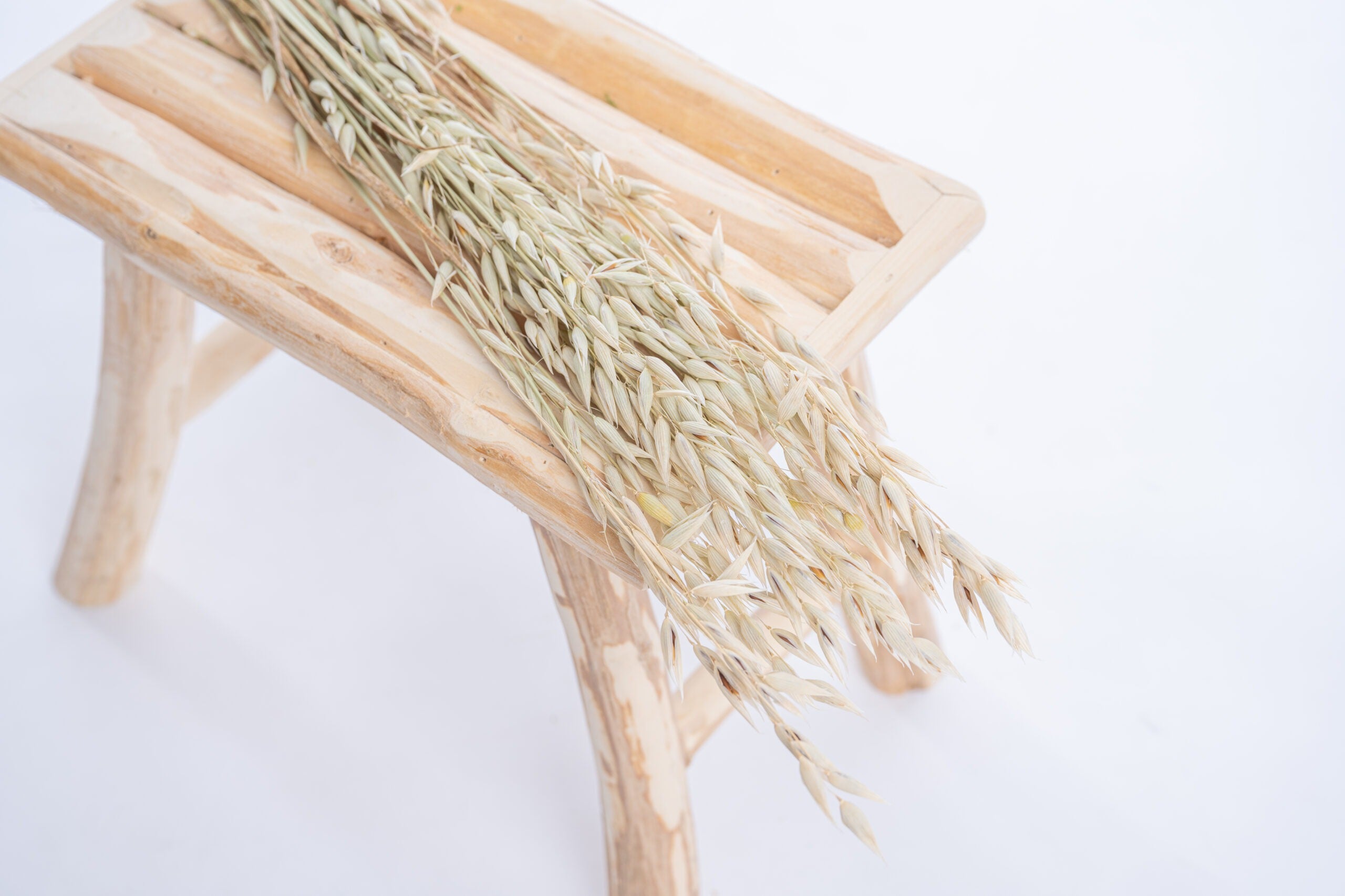 Avoine blanchi naturellement au soleil, fleurs séchées bio françaises