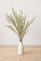 Avoine séchée naturelle française présentée dans un vase en grès sur une table en bois clair, idéale pour une décoration de mariage bohème et des créations DIY en fleurs séchées.