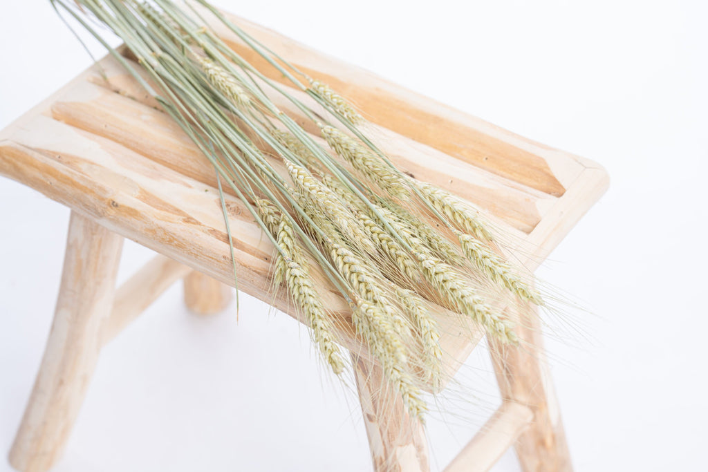 Blé séché bio naturel en botte