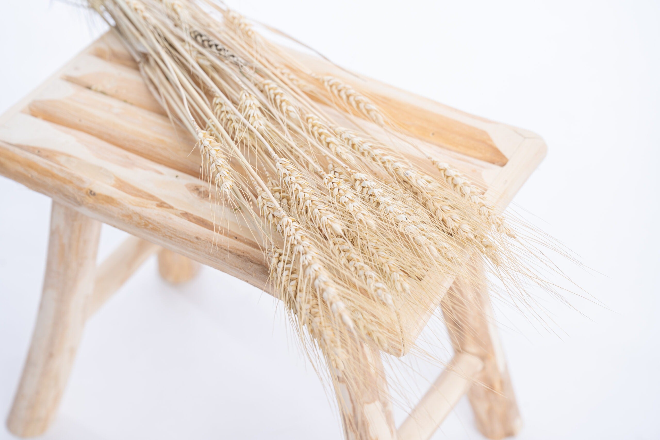 Blé séché bio en botte, fleurs séchées françaises naturelles