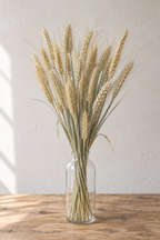 Blé séché bio français en vase pour une décoration naturelle et champêtre