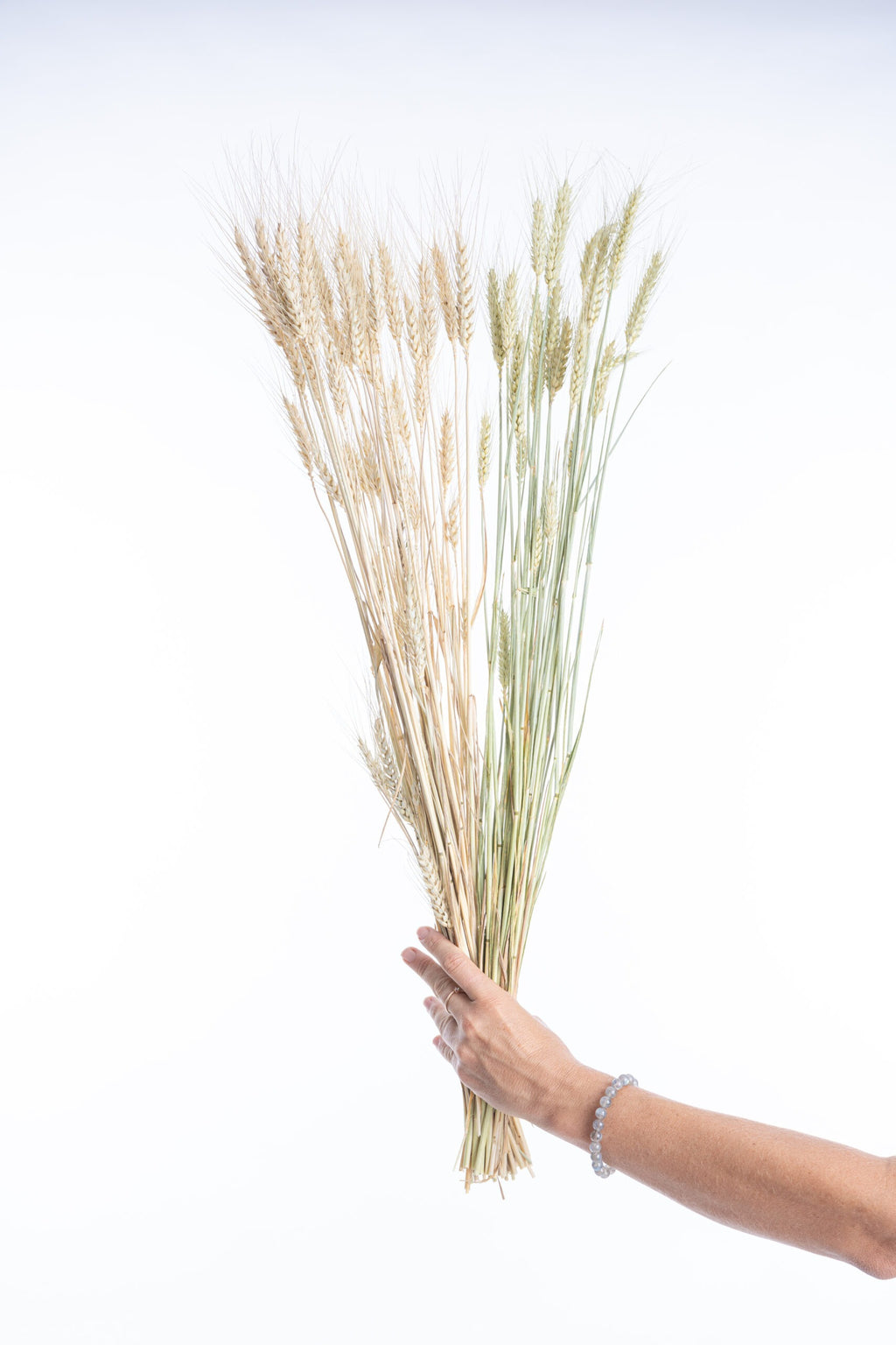 Blé séché bio, fleurs françaises naturelles