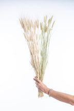 Blé séché bio, fleurs françaises naturelles