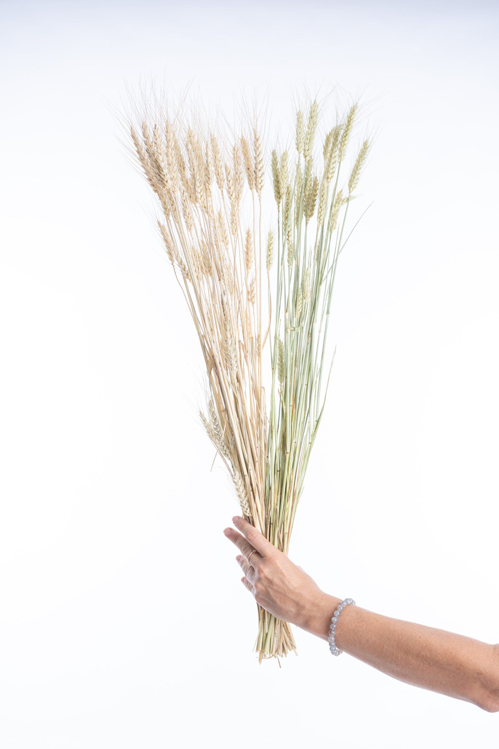 Blé séché bio, fleurs françaises naturelles