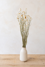 Botte d'ammobium blanc séché français présentée dans un vase en grès sur une table en bois clair, idéale pour une décoration naturelle ou un mariage bohème.