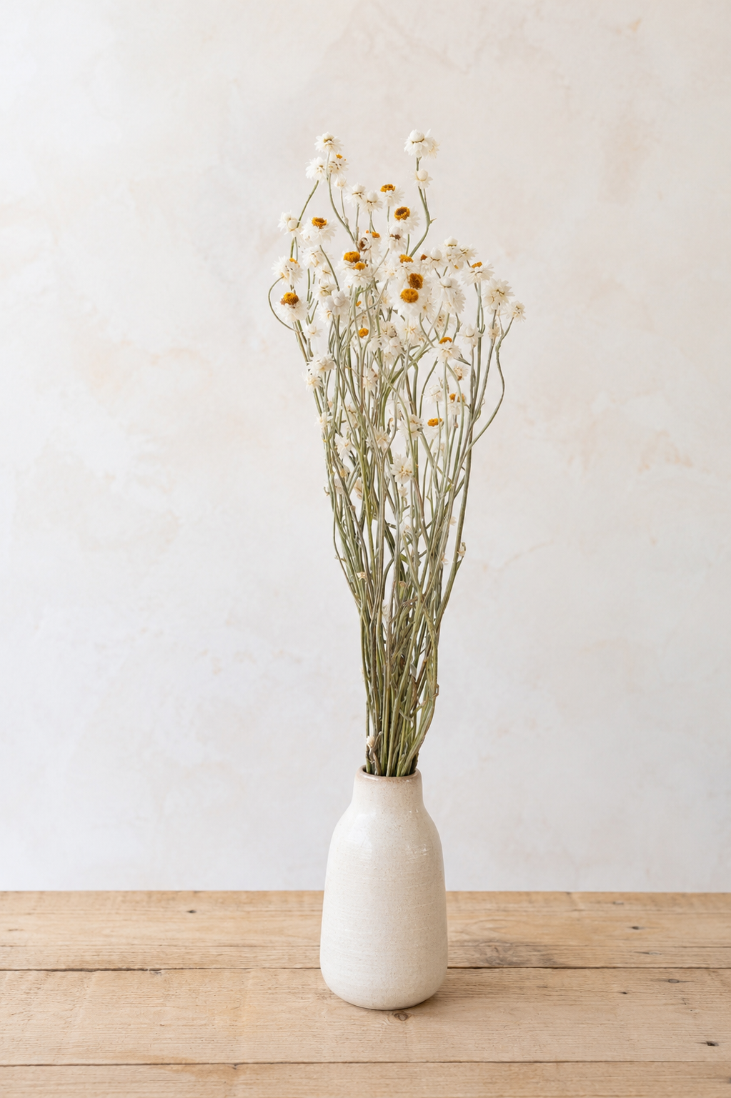 Botte d'ammobium blanc séché français présentée dans un vase en grès sur une table en bois clair, idéale pour une décoration naturelle ou un mariage bohème.