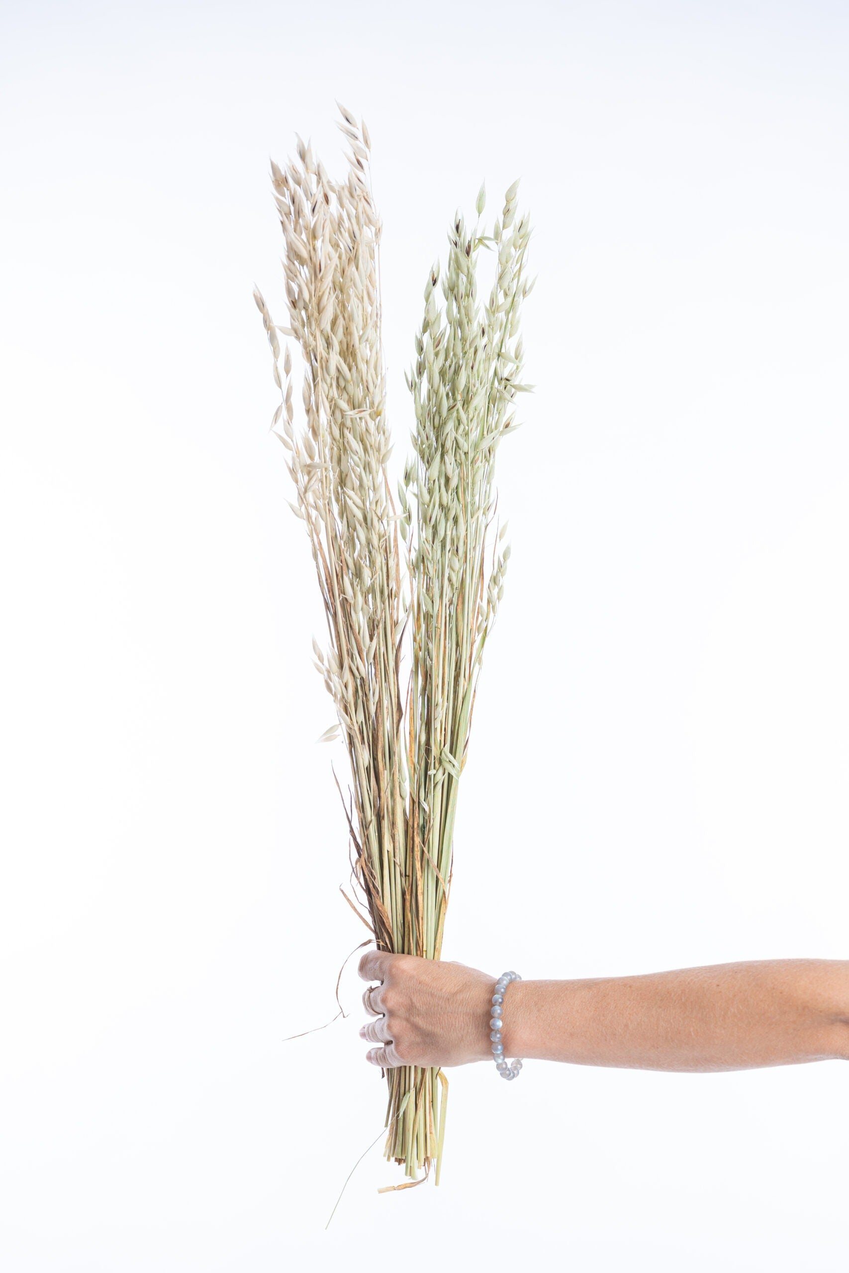 Fleurs séchées avoine bio producteur français