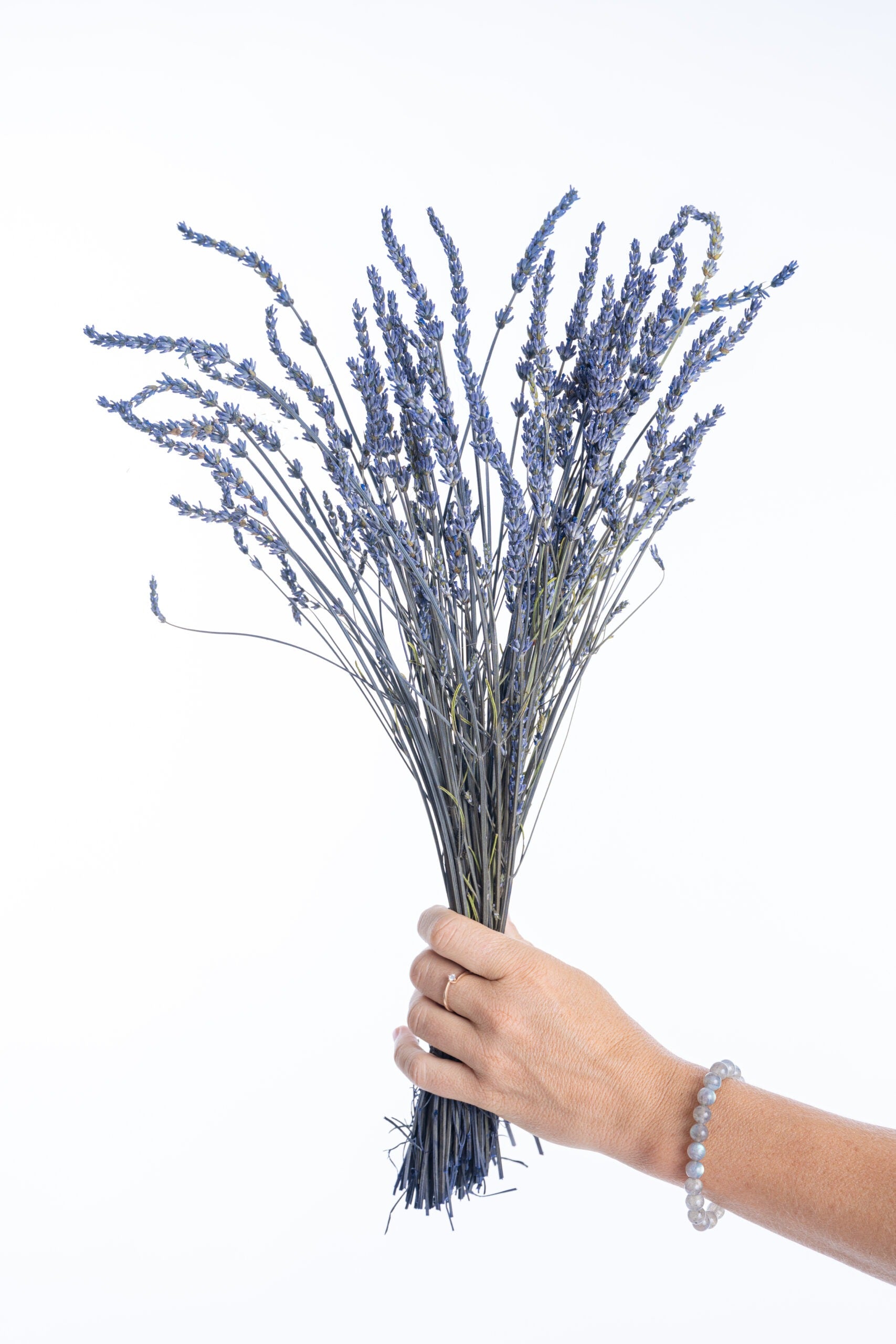 Bouquet de lavande séchée prêt à l’usage