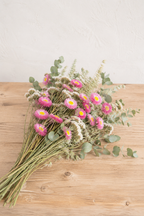 Bouquet de fleurs séchées composé d'acroclinium rose, d'avoine, de statice blanc et d'eucalyptus, cultivés en France par Terralya.