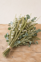 Bouquet de fleurs séchées composé d'amarante verte, d'avoine, de statice blanc et d'eucalyptus, cultivés en France par Terralya.