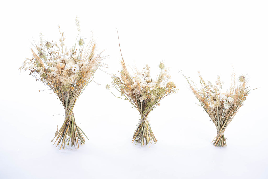 Bouquet blanc en fleurs séchées naturelles, tailles S, M ou L
