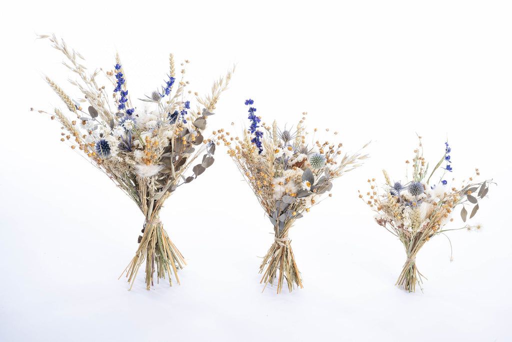 Bouquets de fleurs séchées bleues petits, moyens et grands