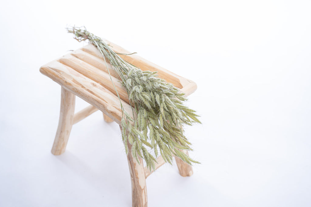 Graminée brome séchée naturellement à la ferme Terralya