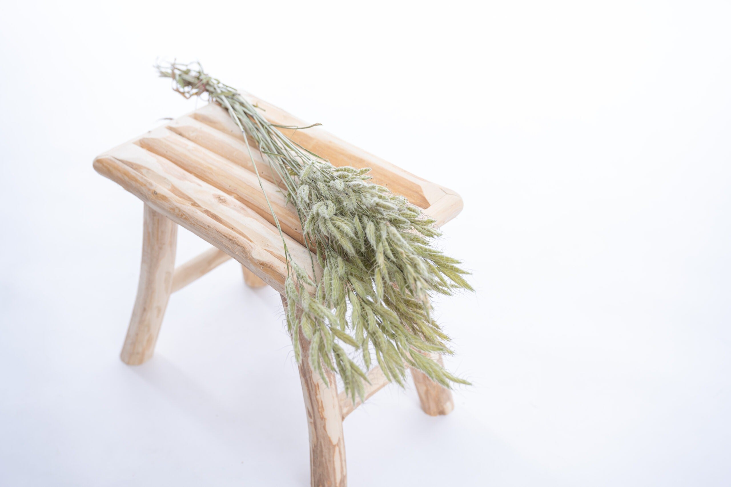 Graminée brome séchée naturellement à la ferme Terralya