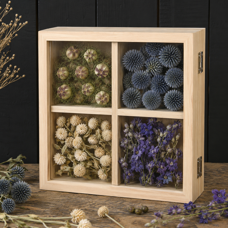 Cadre en double verre compartimenté avec quatre cases remplies de têtes de fleurs séchées : capsules de nigelle, échinops bleus, gomphrena blanche et delphinium violet.