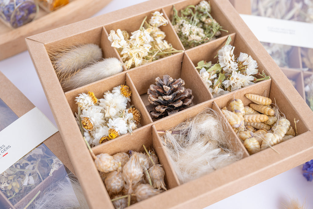 Gros plan en biais sur un coffret de fleurs séchées blanches et naturelles Terralya, avec ses neuf compartiments.