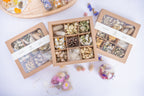 Vue d’ensemble du coffret de fleurs séchées blanches Terralya avec un coffret ouvert au centre et deux coffrets fermés autour.