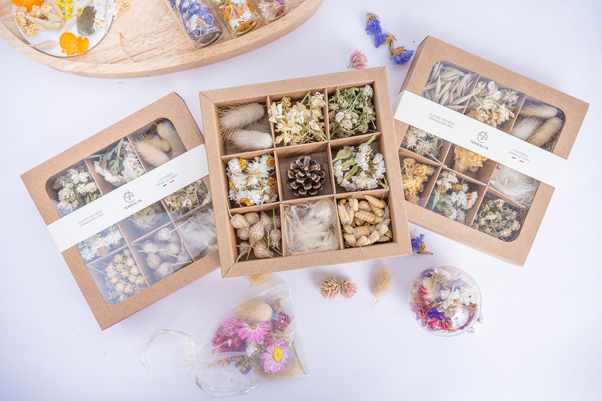 Vue d’ensemble du coffret de fleurs séchées blanches Terralya avec un coffret ouvert au centre et deux coffrets fermés autour.